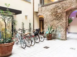 Agave in Città