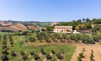 Farmhouse VillaSofia Senigallia - la Ginestra 160Sqm 3 Bedrooms 12 Beds