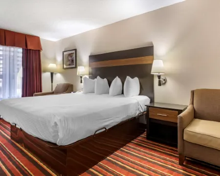 ベストウェスタン リンデール イン リンデールのホテル