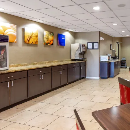Comfort Inn & Suites Canton Riverstone Area