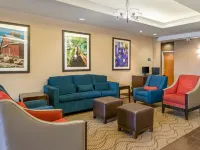 Comfort Inn & Suites, Odessa I-20 Hotels in Ector County