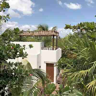 Chiringuito Tulum Hotel Exterior