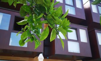 Hotel Herbeira