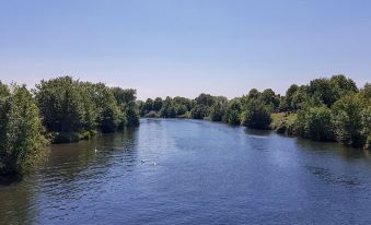 a serene river scene with trees on both sides and a clear blue sky above at The Gwaelod y Garth Inn