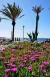 HOTEL LA PERLA - 2-Star