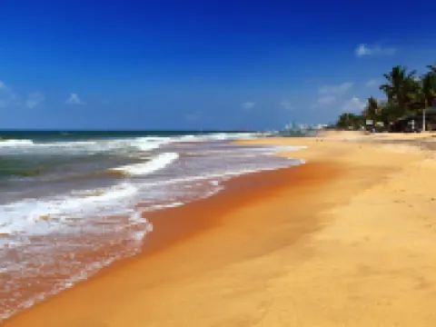 ลาวินิอาเบย์บีชโรงแรม โรงแรมในเมานต์ลาวิเนีย