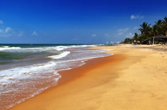 拉維尼亞灣海灘酒店 芒特拉維尼亞酒店