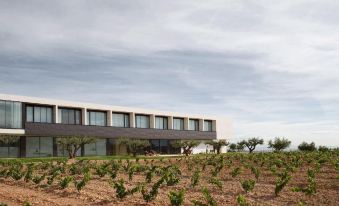 Hotel-Bodega Finca de Los Arandinos