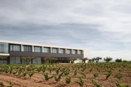 Hotel-Bodega Finca de Los Arandinos Отели в г. La Rioja Province