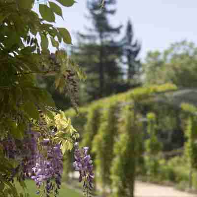 Hyatt Regency Sonoma Wine Country Hotel Exterior