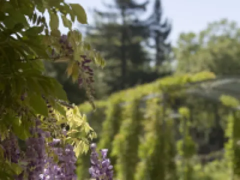 索諾瑪葡萄酒之鄉凱悦酒店 索諾馬縣酒店