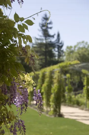 索諾瑪葡萄酒之鄉凱悅飯店