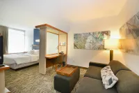 SpringHill Suites Grand Forks Hotels near Northern Roots Boutique