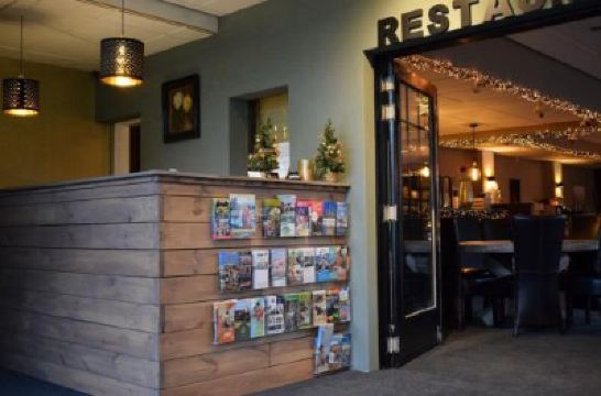 Bar Hotel Rooms Photo