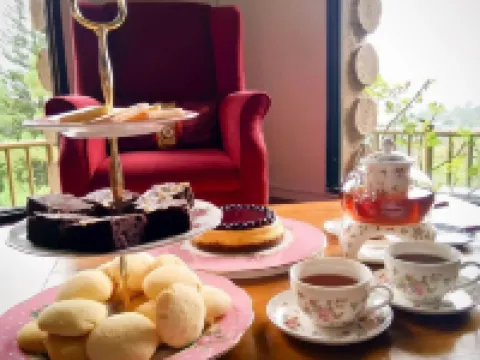 キャニオン ウッズ リゾート クラブ レメリーのホテル