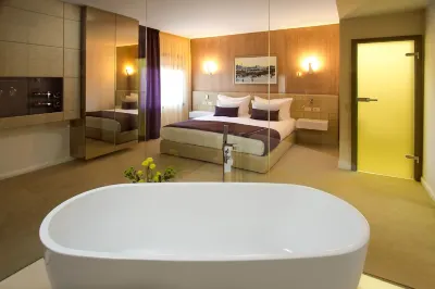Hotel Vila Class Hotels in Satu-Mare