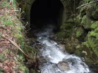 Quinta Dos Caibrais - con terme