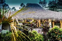 Las Dunas Surf Resort Hotels in 