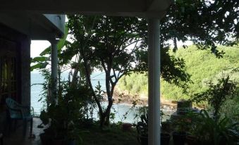Blow Hole View Home Stay