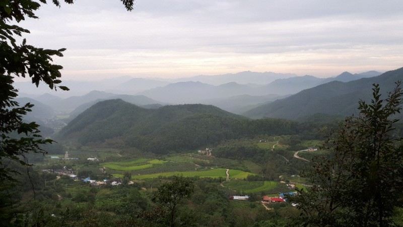 김천 산속의아침펜션 썸네일