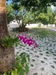 Gumbo Limbo 3 Bedroom Home