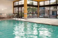 Courtyard Detroit Southfield - Pools