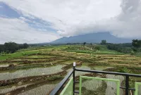 Limerr Resto & Resort Hotels in Beber