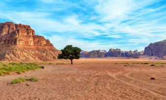 Ali Wadi Rum Moon Camp