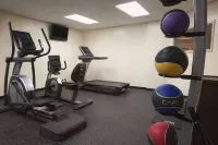 Wingate by Wyndham Schaumburg - Gym