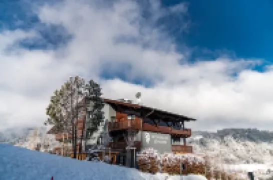 Erzherzog Johann Alpin Style Hotel - Adults Only