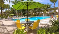 Lemon Tree Inn - Rooftop Pools