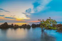 Urbanview Hotel R House Batam by RedDoorz Hotels in Nongsa