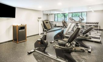 a well - equipped gym with various exercise equipment , including treadmills and stationary bikes , near large windows at Wyndham Garden Washington DC Area