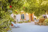 Summer Vibes Beach Front Hotels in Veligandu