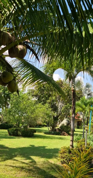 บังกะโล ทั้งหลังหรืออพาร์ทเมนต์