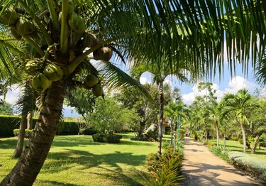 รูปภาพของBeautiful Bungalow with Shared Outdoor Pool