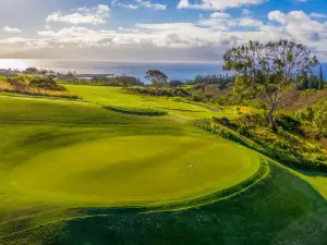 The Ritz-Carlton Maui, Kapalua