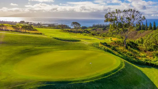 The Ritz-Carlton Maui, Kapalua