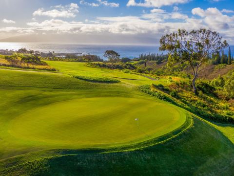 The Ritz-Carlton Maui, Kapalua