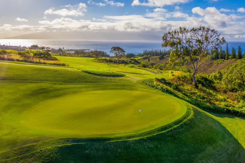 The Ritz-Carlton Maui, Kapalua