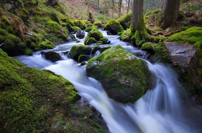 ホテル周辺 ベストウエスタン ホテル ホーフグート シュテルネンの写真