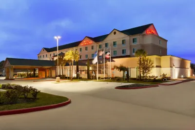 Hilton Garden Inn Houston/Clear Lake NASA Hotels in Webster