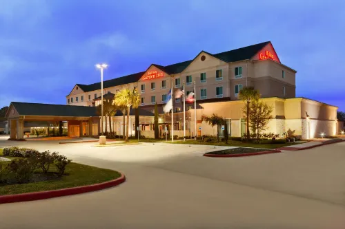 Hilton Garden Inn Houston/Clear Lake NASA Hotels in Webster