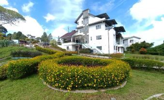 Dear Dino Villa Cameron Highlands