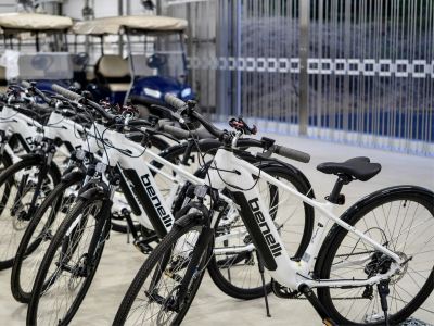 その他 小谷流の里 ドギーズアイランドの写真