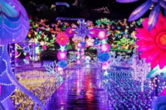 COCO TERRACE -วิวทะเล-