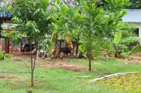 Lunapiena Resorts Hotels near Noorul Islam University to Puliyuurkurichi