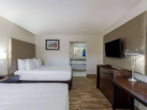 佛羅里達市/霍姆斯泰德/大沼澤地Travelodge by Wyndham飯店 邁阿密戴德縣住宿飯店
