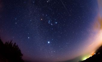 Matayoshi Coffee Farm