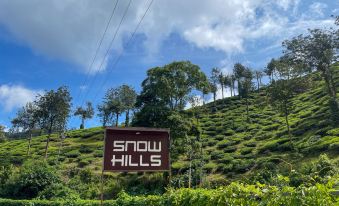 Snow Hills Resorts